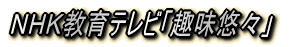 ȋMlA[eBXg